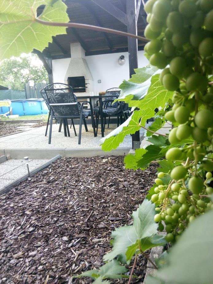 Cyklo ubytování a vinný sklep Žádovice Exterior foto